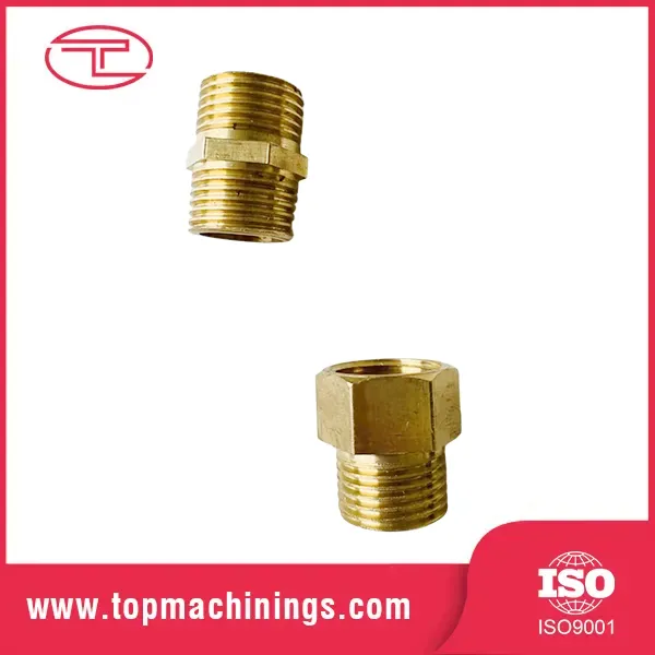 Virtus Gubernaculo Fittings