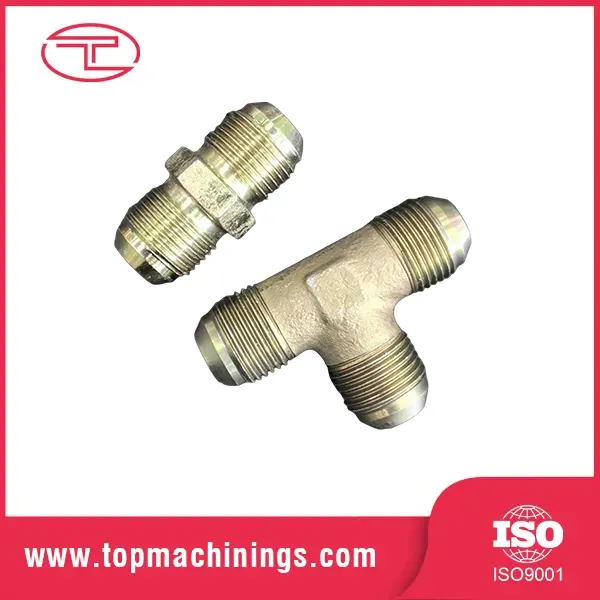 Virtus Gubernaculo Fittings