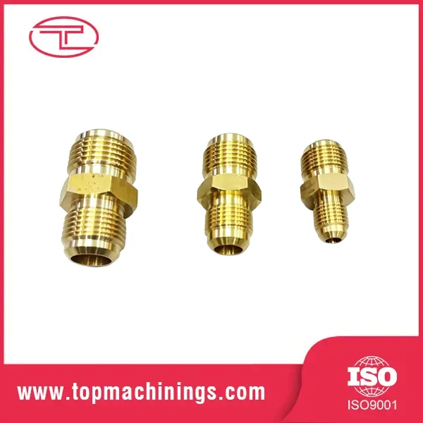 Virtus Gubernaculo Fittings
