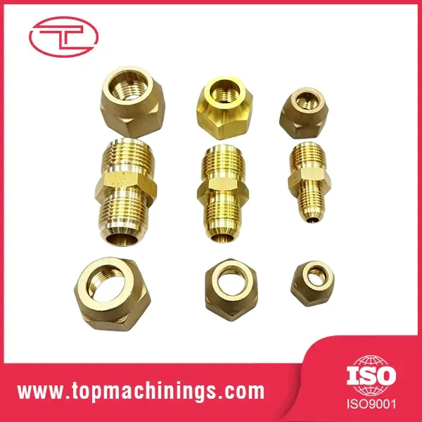 Virtus Gubernaculo Fittings