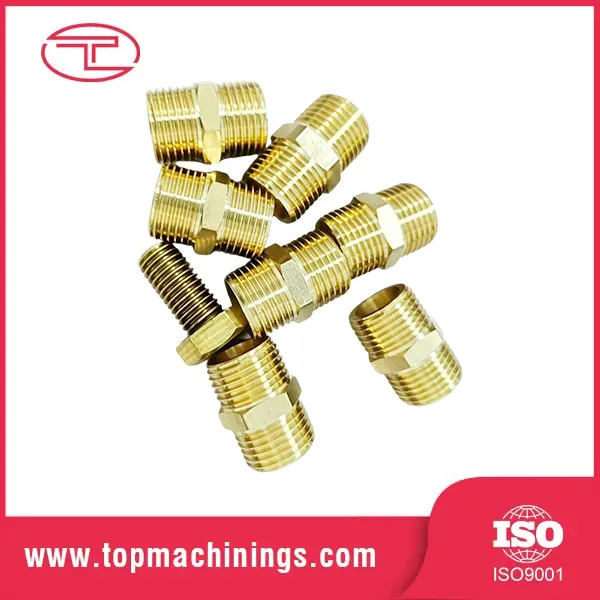 Virtus Gubernaculo Fittings